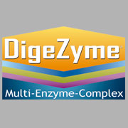 Digezyme